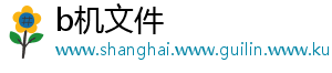 b机文件
